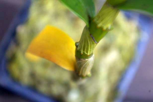 f0159267_16582878.jpg