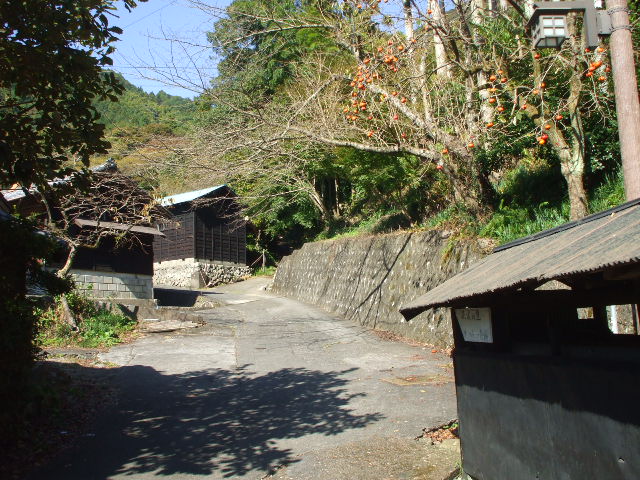 c0138868_15575880.jpg