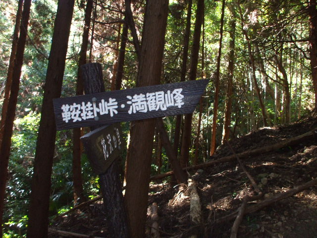 c0138868_15582264.jpg