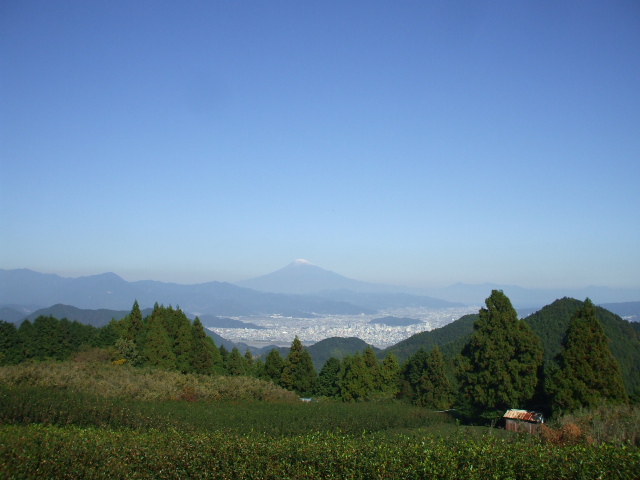 c0138868_15592836.jpg