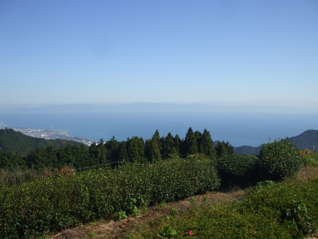 c0138868_15594555.jpg
