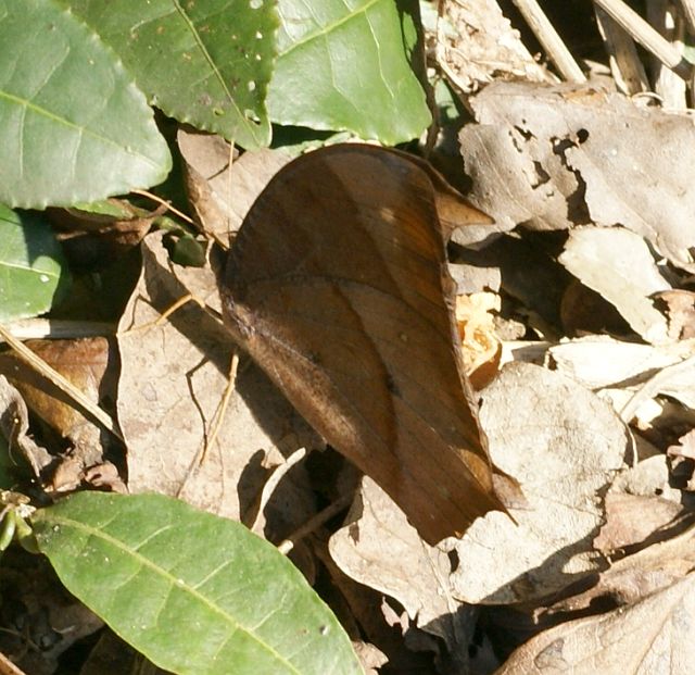 b0070071_18222879.jpg