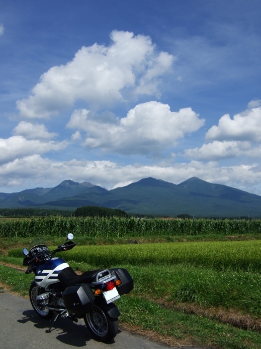 b0105871_17362625.jpg