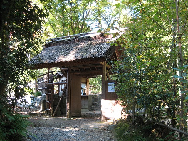e0106372_1972271.jpg