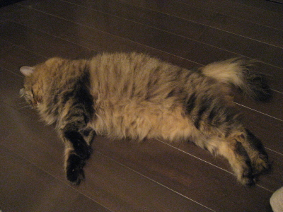 f0183274_231852.jpg