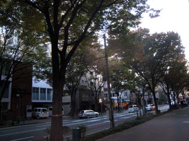 f0196374_774661.jpg