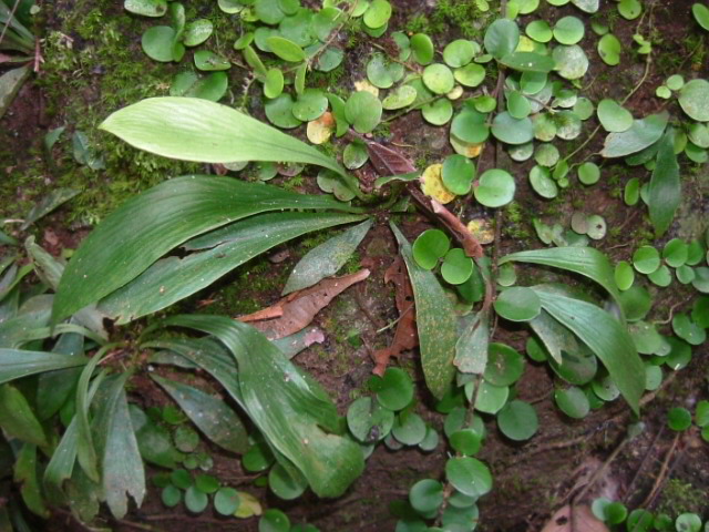 a0067578_19441327.jpg