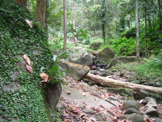 a0067578_19445882.jpg