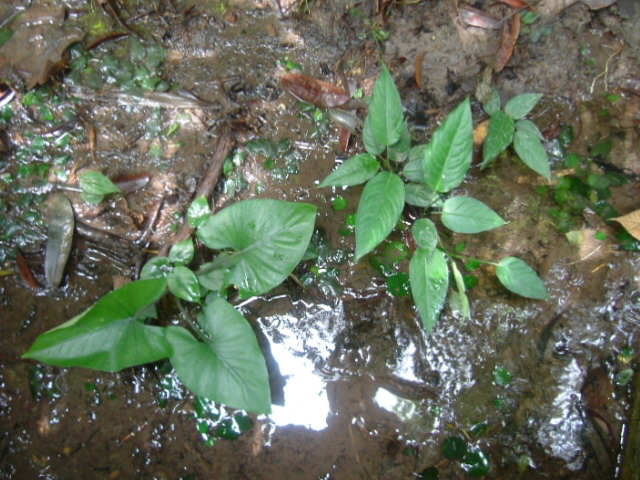 a0067578_19463041.jpg
