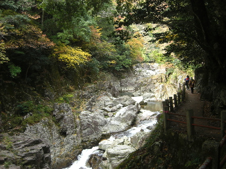 d0116578_23354535.jpg