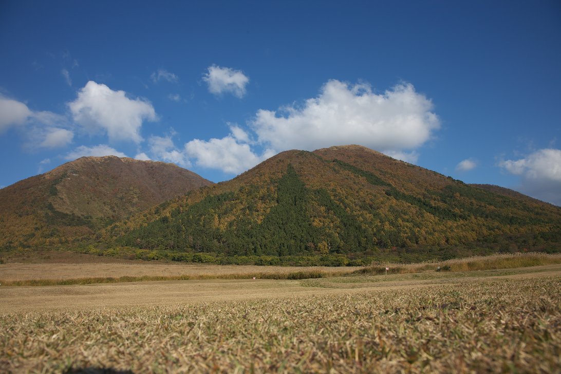 a0076683_229195.jpg