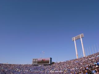 e0042386_1102985.jpg