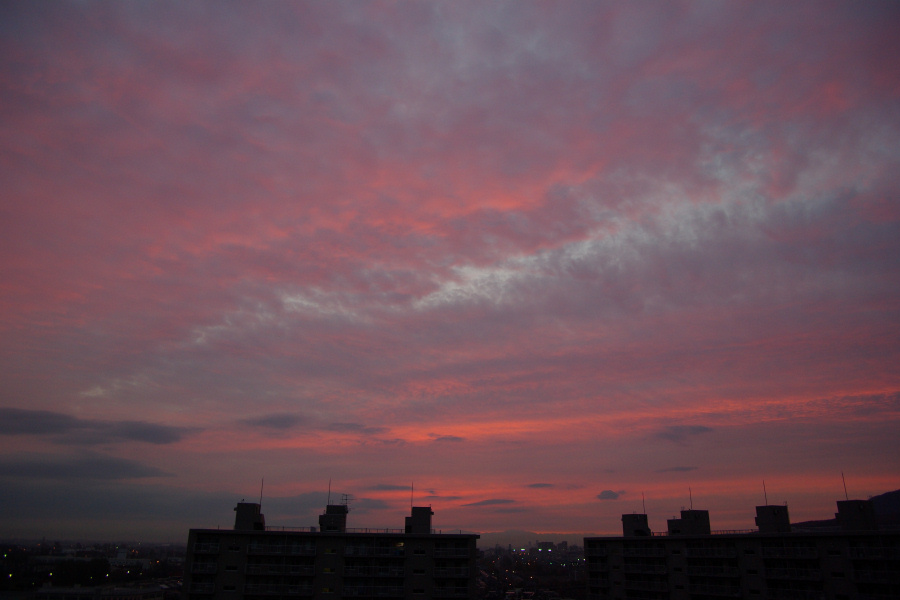 e0051186_20105828.jpg