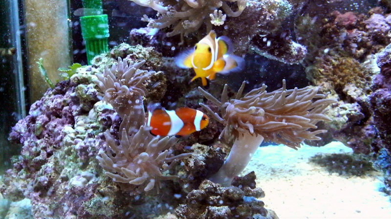 a0049090_19264566.jpg