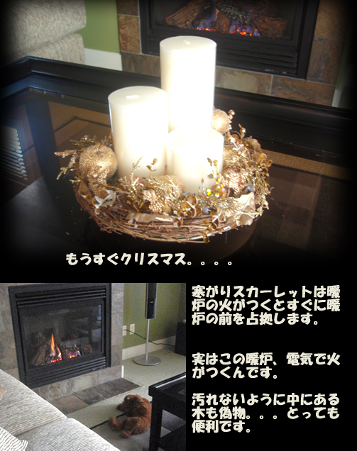 c0164491_1539756.jpg