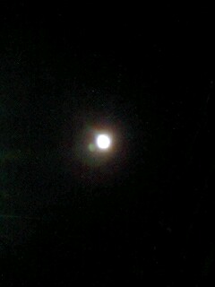 e0035992_1805321.jpg