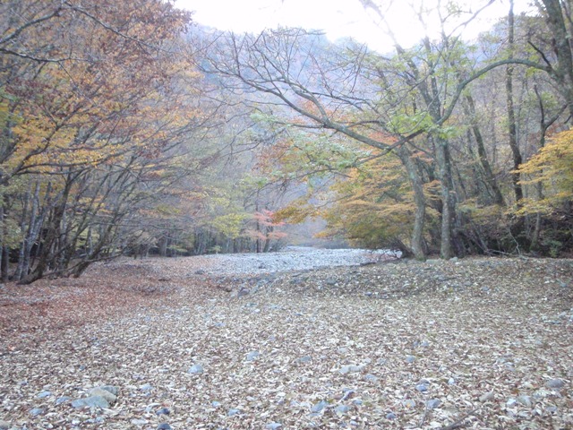 c0147398_0485486.jpg