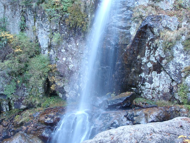 c0147398_0491663.jpg