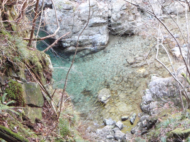 c0147398_050425.jpg