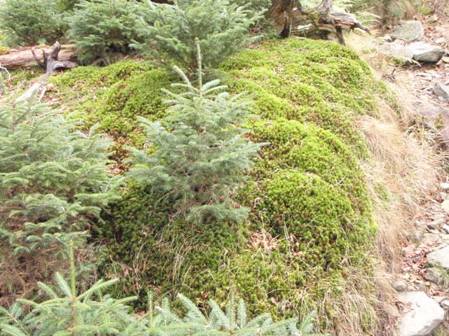 c0147398_0534988.jpg