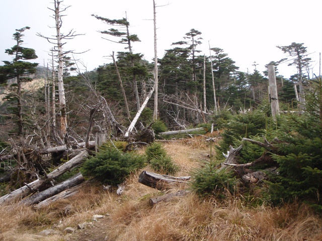 c0147398_054417.jpg