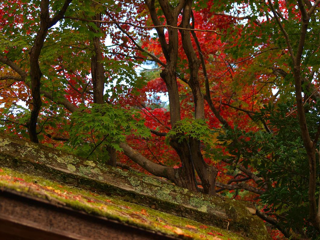 b0138101_23331599.jpg