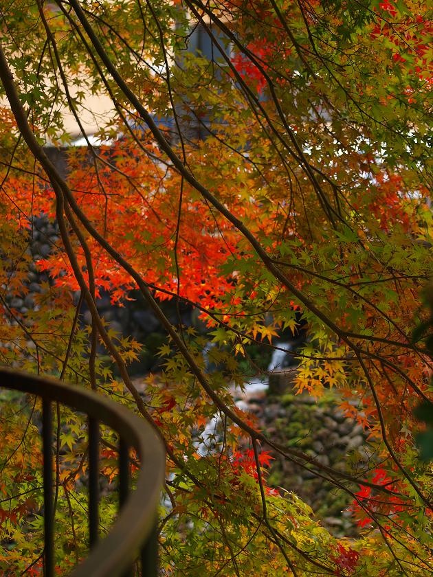 b0138101_23332967.jpg