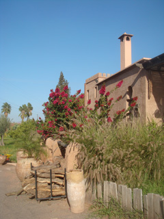 d0126508_239786.jpg