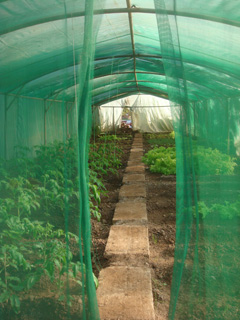 d0126508_2533882.jpg