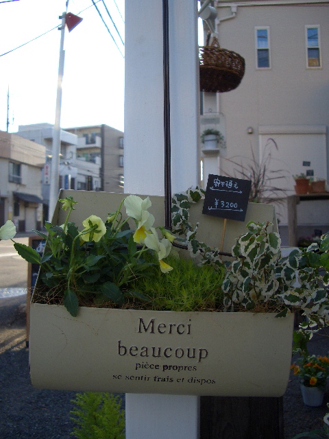 e0128909_204987.jpg