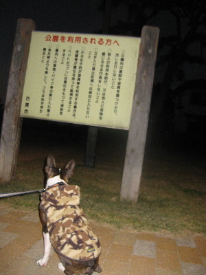 e0156915_2129751.jpg