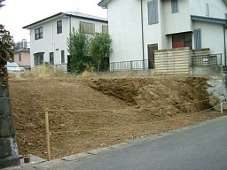 f0153115_042046.jpg