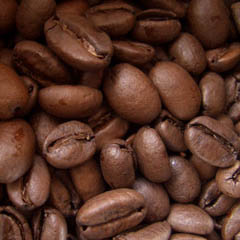 c0036617_7303260.jpg