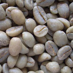 c0036617_7481938.jpg