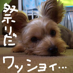 c0036617_872158.jpg