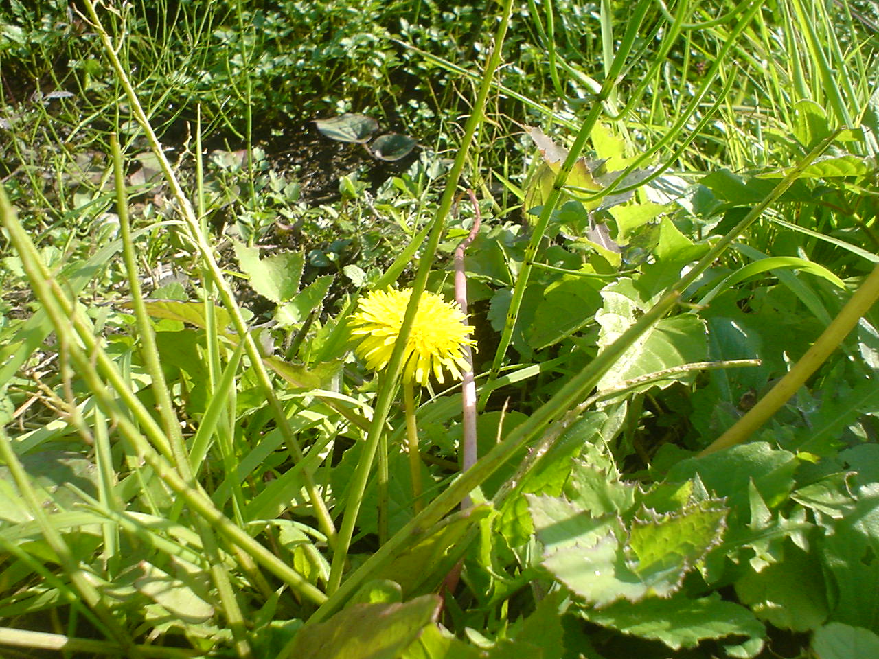 c0150520_12342156.jpg