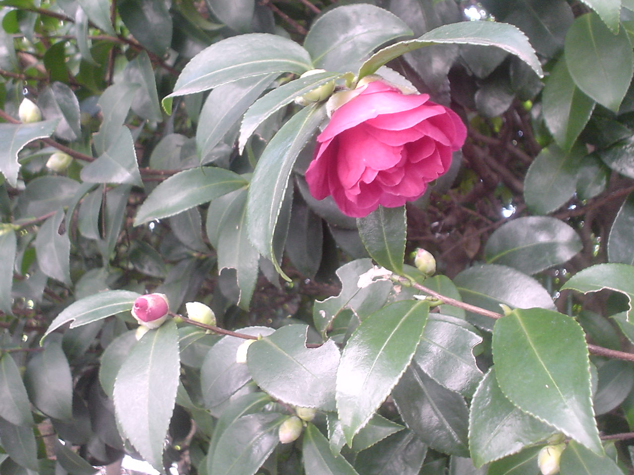 c0150520_12582638.jpg