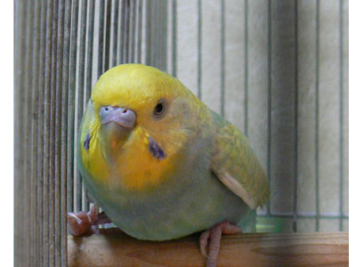 e0148120_21542979.jpg
