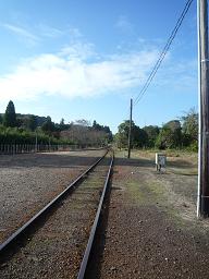 f0150620_825048.jpg
