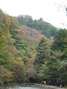 f0150620_9151081.jpg