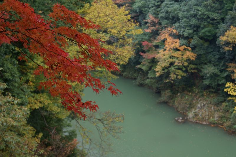 c0124021_1618735.jpg