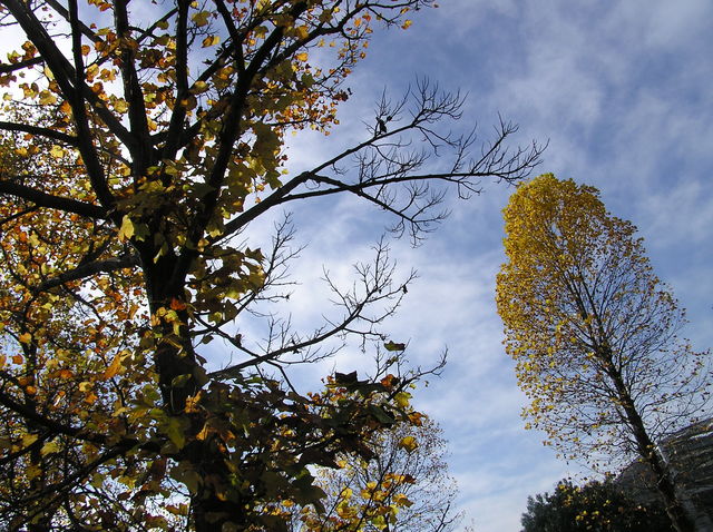 f0128723_23433085.jpg