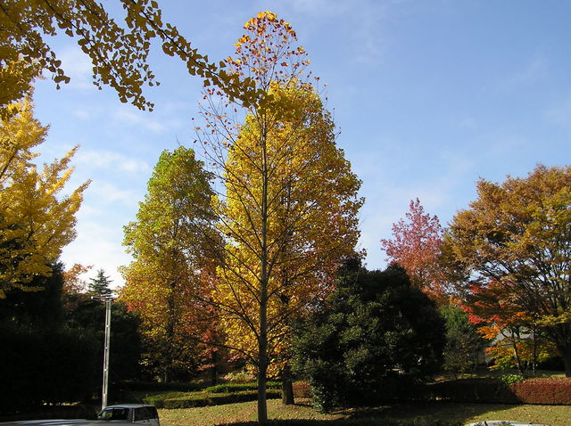 f0128723_2344074.jpg