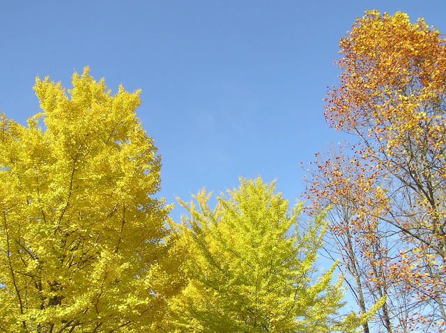 f0128723_23442378.jpg