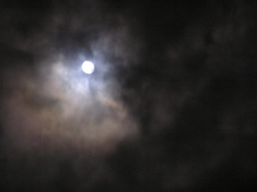 f0128723_23514369.jpg