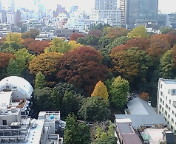 c0051529_13382944.jpg