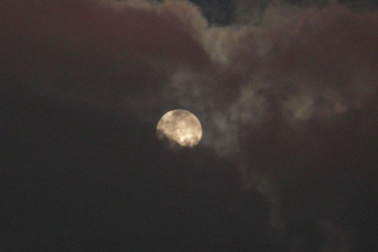 e0033229_21322158.jpg