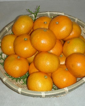 f0150629_118355.jpg