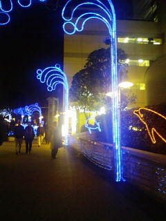 f0038031_29122.jpg