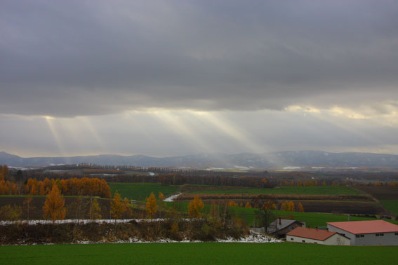 d0069235_2226516.jpg